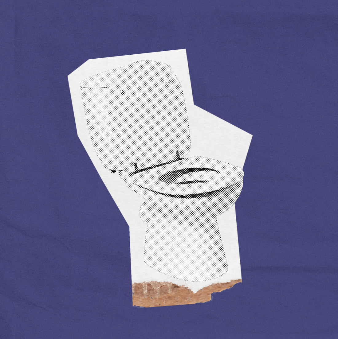 Lo que haces en el baño dice mucho de ti